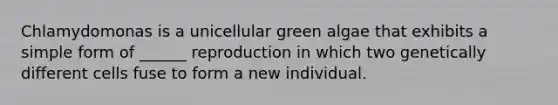 Chlamydomonas is a unicellular green algae that exhibits a simple form of ______ reproduction in which two genetically different cells fuse to form a new individual.