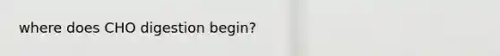 where does CHO digestion begin?