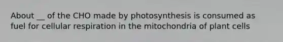 About __ of the CHO made by photosynthesis is consumed as fuel for cellular respiration in the mitochondria of plant cells