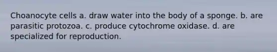 Choanocyte cells a. draw water into the body of a sponge. b. are parasitic protozoa. c. produce cytochrome oxidase. d. are specialized for reproduction.