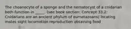 The choanocyte of a sponge and the nematocyst of a cnidarian both function in _____. (see book section: Concept 33.2: Cnidarians are an ancient phylum of eumetazoans) locating mates sight locomotion reproduction obtaining food