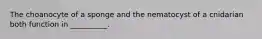 The choanocyte of a sponge and the nematocyst of a cnidarian both function in __________.