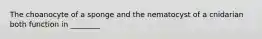 The choanocyte of a sponge and the nematocyst of a cnidarian both function in ________