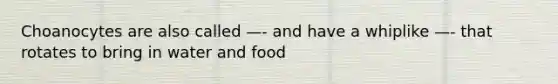 Choanocytes are also called —- and have a whiplike —- that rotates to bring in water and food