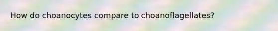 How do choanocytes compare to choanoflagellates?
