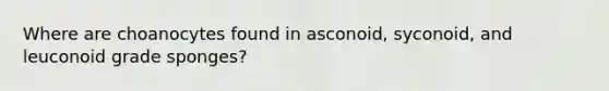 Where are choanocytes found in asconoid, syconoid, and leuconoid grade sponges?