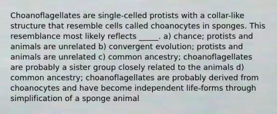 Choanoflagellates are single-celled protists with a collar-like structure that resemble cells called choanocytes in sponges. This resemblance most likely reflects _____. a) chance; protists and animals are unrelated b) convergent evolution; protists and animals are unrelated c) common ancestry; choanoflagellates are probably a sister group closely related to the animals d) common ancestry; choanoflagellates are probably derived from choanocytes and have become independent life-forms through simplification of a sponge animal