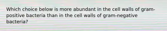 Which choice below is more abundant in the cell walls of gram-positive bacteria than in the cell walls of gram-negative bacteria?