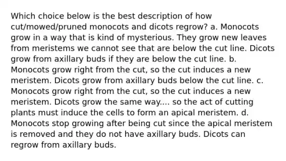 Which choice below is the best description of how cut/mowed/pruned monocots and dicots regrow? a. Monocots grow in a way that is kind of mysterious. They grow new leaves from meristems we cannot see that are below the cut line. Dicots grow from axillary buds if they are below the cut line. b. Monocots grow right from the cut, so the cut induces a new meristem. Dicots grow from axillary buds below the cut line. c. Monocots grow right from the cut, so the cut induces a new meristem. Dicots grow the same way.... so the act of cutting plants must induce the cells to form an apical meristem. d. Monocots stop growing after being cut since the apical meristem is removed and they do not have axillary buds. Dicots can regrow from axillary buds.