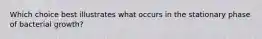 Which choice best illustrates what occurs in the stationary phase of bacterial growth?