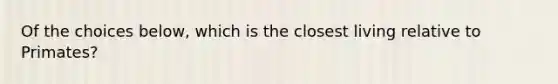 Of the choices below, which is the closest living relative to Primates?