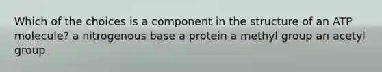 Which of the choices is a component in the structure of an ATP molecule? a nitrogenous base a protein a methyl group an acetyl group