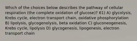 Which of the choices below describes the pathway of cellular respiration (the complete oxidation of glucose)? 61) A) glycolysis, Krebs cycle, electron transport chain, oxidative phosphorylation B) lipolysis, glycogenolysis, beta oxidation C) gluconeogenesis, Krebs cycle, lipolysis D) glycogenesis, lipogenesis, electron transport chain