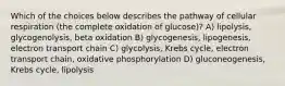 Which of the choices below describes the pathway of cellular respiration (the complete oxidation of glucose)? A) lipolysis, glycogenolysis, beta oxidation B) glycogenesis, lipogenesis, electron transport chain C) glycolysis, Krebs cycle, electron transport chain, oxidative phosphorylation D) gluconeogenesis, Krebs cycle, lipolysis