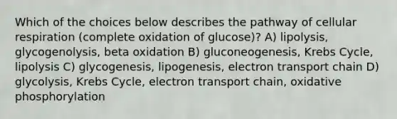 Which of the choices below describes the pathway of cellular respiration (complete oxidation of glucose)? A) lipolysis, glycogenolysis, beta oxidation B) gluconeogenesis, Krebs Cycle, lipolysis C) glycogenesis, lipogenesis, electron transport chain D) glycolysis, Krebs Cycle, electron transport chain, oxidative phosphorylation