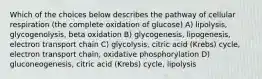 Which of the choices below describes the pathway of cellular respiration (the complete oxidation of glucose) A) lipolysis, glycogenolysis, beta oxidation B) glycogenesis, lipogenesis, electron transport chain C) glycolysis, citric acid (Krebs) cycle, electron transport chain, oxidative phosphorylation D) gluconeogenesis, citric acid (Krebs) cycle, lipolysis