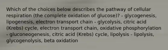 Which of the choices below describes the pathway of cellular respiration (the complete oxidation of glucose)? - glycogenesis, lipogenesis, electron transport chain - glycolysis, citric acid (Krebs) cycle, electron transport chain, oxidative phosphorylation - gluconeogenesis, citric acid (Krebs) cycle, lipolysis - lipolysis, glycogenolysis, beta oxidation