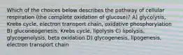 Which of the choices below describes the pathway of cellular respiration (the complete oxidation of glucose)? A) glycolysis, Krebs cycle, electron transport chain, oxidative phosphorylation B) gluconeogenesis, Krebs cycle, lipolysis C) lipolysis, glycogenolysis, beta oxidation D) glycogenesis, lipogenesis, electron transport chain