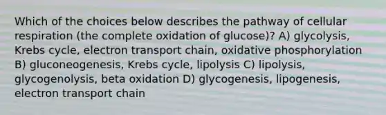 Which of the choices below describes the pathway of cellular respiration (the complete oxidation of glucose)? A) glycolysis, Krebs cycle, electron transport chain, oxidative phosphorylation B) gluconeogenesis, Krebs cycle, lipolysis C) lipolysis, glycogenolysis, beta oxidation D) glycogenesis, lipogenesis, electron transport chain