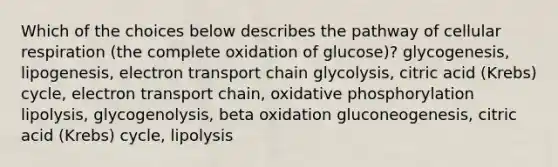 Which of the choices below describes the pathway of cellular respiration (the complete oxidation of glucose)? glycogenesis, lipogenesis, electron transport chain glycolysis, citric acid (Krebs) cycle, electron transport chain, oxidative phosphorylation lipolysis, glycogenolysis, beta oxidation gluconeogenesis, citric acid (Krebs) cycle, lipolysis