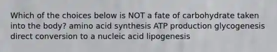 Which of the choices below is NOT a fate of carbohydrate taken into the body? amino acid synthesis ATP production glycogenesis direct conversion to a nucleic acid lipogenesis