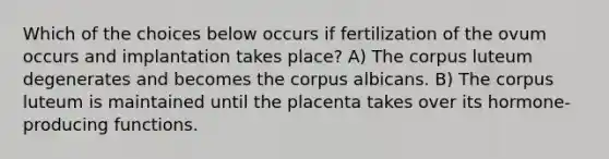 Which of the choices below occurs if fertilization of the ovum occurs and implantation takes place? A) The corpus luteum degenerates and becomes the corpus albicans. B) The corpus luteum is maintained until the placenta takes over its hormone-producing functions.