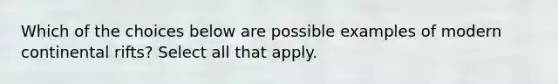 Which of the choices below are possible examples of modern continental rifts? Select all that apply.