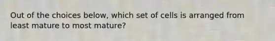 Out of the choices below, which set of cells is arranged from least mature to most mature?