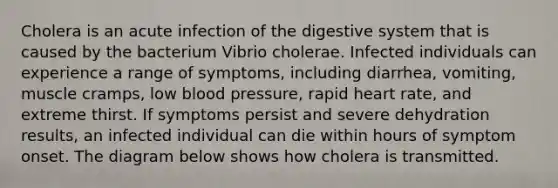 Cholera is an acute infection of the digestive system that is caused by the bacterium Vibrio cholerae. Infected individuals can experience a range of symptoms, including diarrhea, vomiting, muscle cramps, low blood pressure, rapid heart rate, and extreme thirst. If symptoms persist and severe dehydration results, an infected individual can die within hours of symptom onset. The diagram below shows how cholera is transmitted.