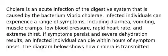 Cholera is an acute infection of the digestive system that is caused by the bacterium Vibrio cholerae. Infected individuals can experience a range of symptoms, including diarrhea, vomiting, muscle cramps, low blood pressure, rapid heart rate, and extreme thirst. If symptoms persist and severe dehydration results, an infected individual can die within hours of symptom onset. The diagram below shows how cholera is transmitted