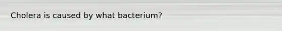 Cholera is caused by what bacterium?