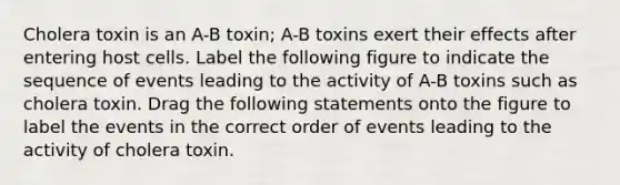 Cholera toxin is an A-B toxin; A-B toxins exert their effects after entering host cells. Label the following figure to indicate the sequence of events leading to the activity of A-B toxins such as cholera toxin. Drag the following statements onto the figure to label the events in the correct order of events leading to the activity of cholera toxin.