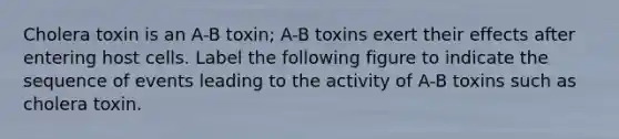 Cholera toxin is an A-B toxin; A-B toxins exert their effects after entering host cells. Label the following figure to indicate the sequence of events leading to the activity of A-B toxins such as cholera toxin.