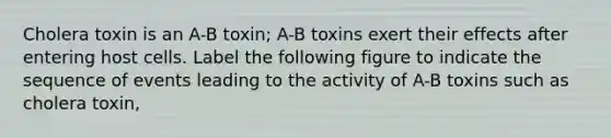 Cholera toxin is an A-B toxin; A-B toxins exert their effects after entering host cells. Label the following figure to indicate the sequence of events leading to the activity of A-B toxins such as cholera toxin,