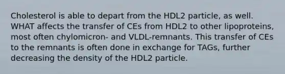 Cholesterol is able to depart from the HDL2 particle, as well. WHAT affects the transfer of CEs from HDL2 to other lipoproteins, most often chylomicron- and VLDL-remnants. This transfer of CEs to the remnants is often done in exchange for TAGs, further decreasing the density of the HDL2 particle.