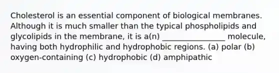 Cholesterol is an essential component of biological membranes. Although it is much smaller than the typical phospholipids and glycolipids in the membrane, it is a(n) ________________ molecule, having both hydrophilic and hydrophobic regions. (a) polar (b) oxygen-containing (c) hydrophobic (d) amphipathic