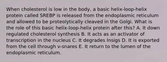 When cholesterol is low in the body, a basic helix-loop-helix protein called SREBP is released from the endoplasmic reticulum and allowed to be proteolytically cleaved in the Golgi. What is the role of this basic helix-loop-helix protein after this? A. It down regulated cholesterol synthesis B. It acts as an activator of transcription in the nucleus C. It degrades Insigs D. It is exported from the cell through v-snares E. It return to the lumen of the endoplasmic reticulum.