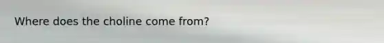 Where does the choline come from?