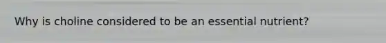 Why is choline considered to be an essential nutrient?