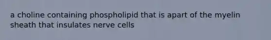 a choline containing phospholipid that is apart of the myelin sheath that insulates nerve cells