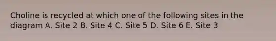 Choline is recycled at which one of the following sites in the diagram A. Site 2 B. Site 4 C. Site 5 D. Site 6 E. Site 3