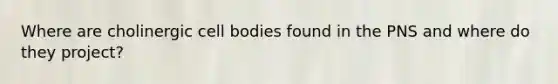 Where are cholinergic cell bodies found in the PNS and where do they project?