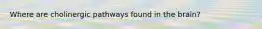 Where are cholinergic pathways found in the brain?