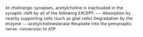 At cholinergic synapses, acetylcholine is inactivated in the synaptic cleft by all of the following EXCEPT: ---- Absorption by nearby supporting cells (such as glial cells) Degradation by the enzyme ----acetylcholinesterase Reuptake into the presynaptic nerve- conversion to ATP