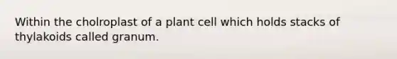 Within the cholroplast of a plant cell which holds stacks of thylakoids called granum.