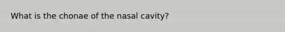 What is the chonae of the nasal cavity?