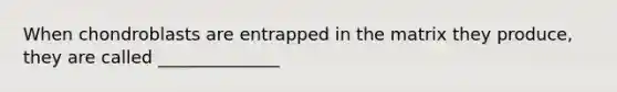 When chondroblasts are entrapped in the matrix they produce, they are called ______________