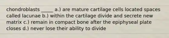 chondroblasts _____ a.) are mature cartilage cells located spaces called lacunae b.) within the cartilage divide and secrete new matrix c.) remain in compact bone after the epiphyseal plate closes d.) never lose their ability to divide