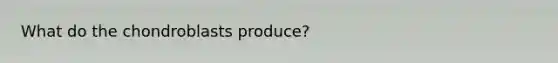 What do the chondroblasts produce?