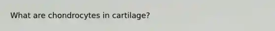 What are chondrocytes in cartilage?
